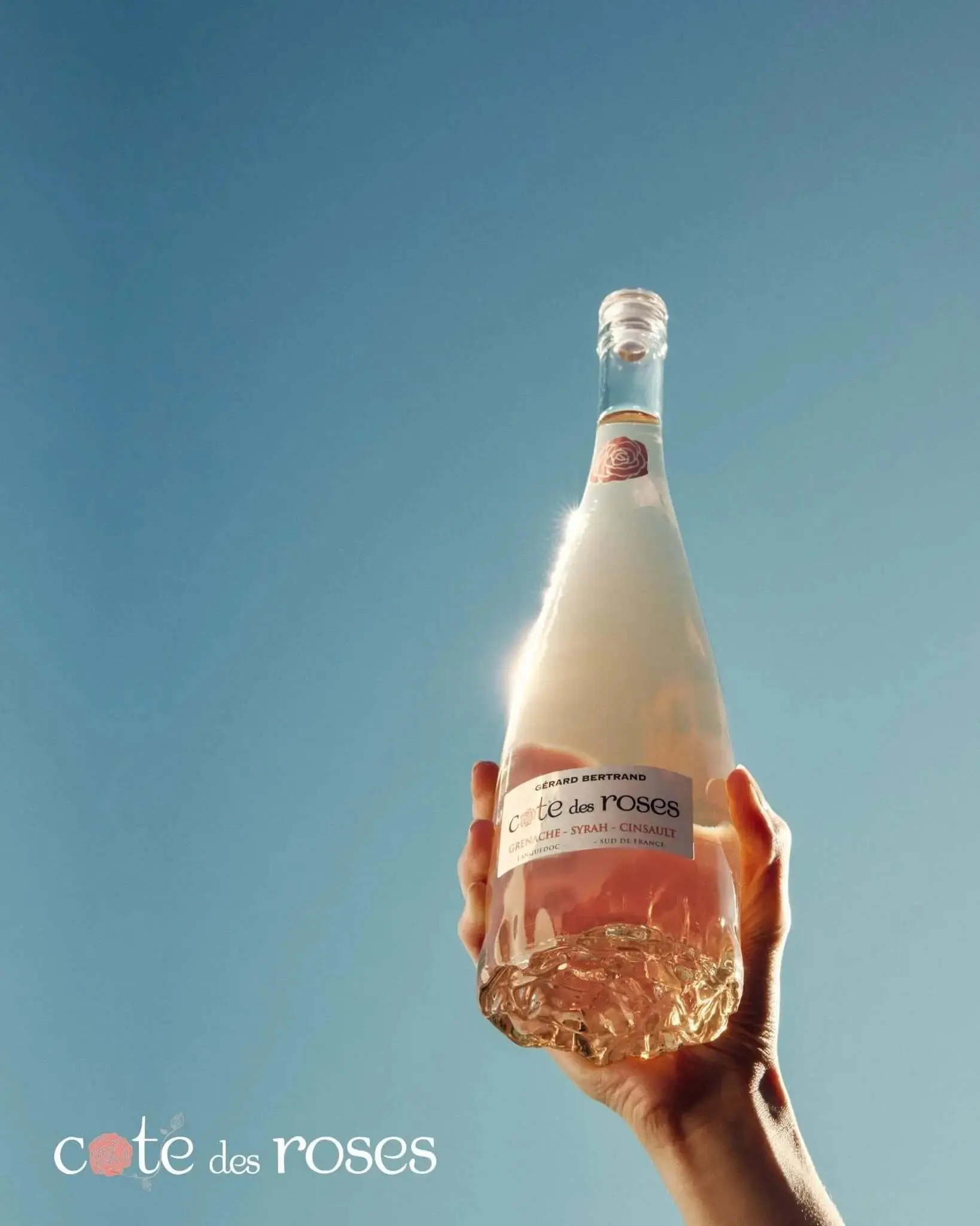 Cote des Roses rosé Half Bottle (375ml) - Image 2