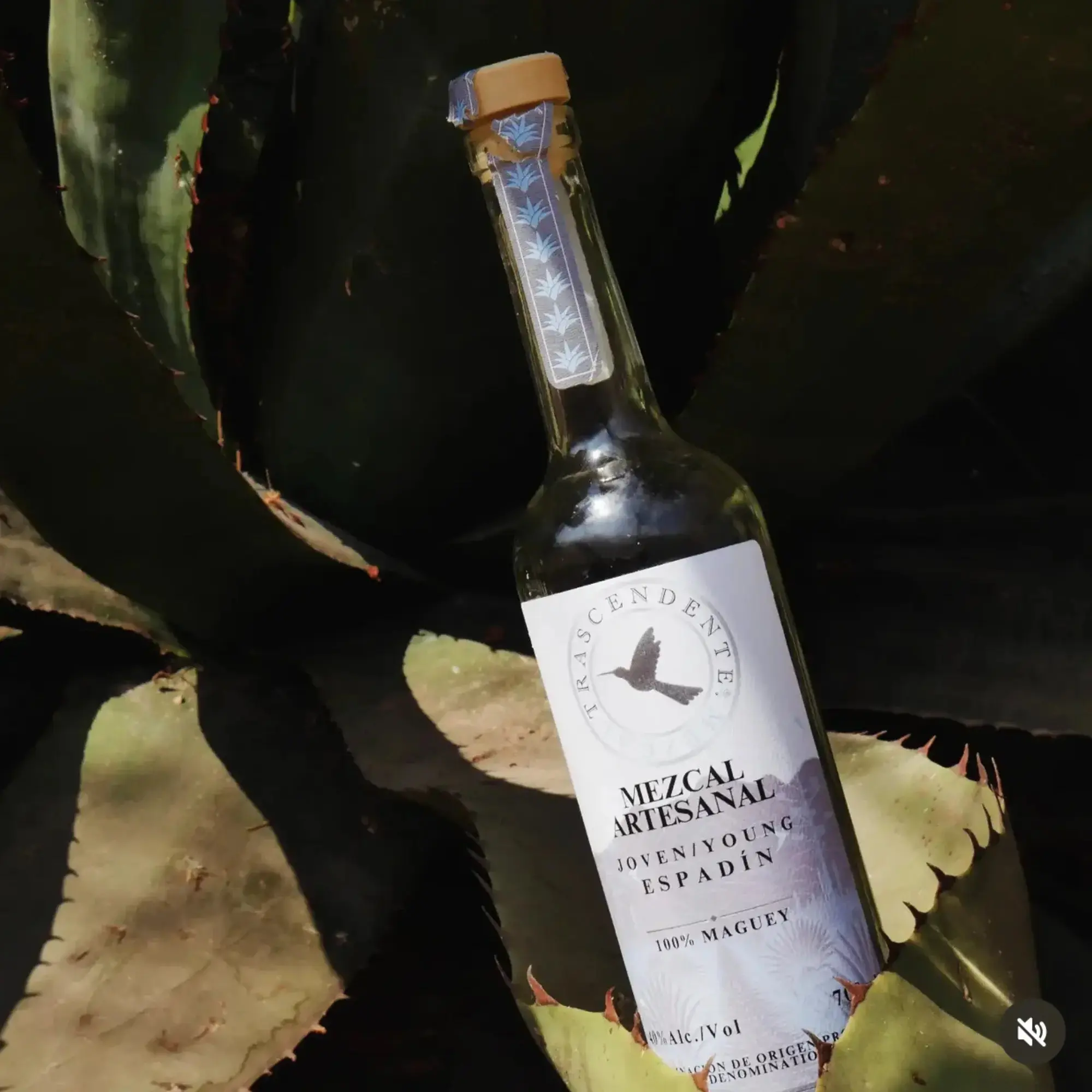 Mezcal Trascendente Espadin 700ml - Image 2